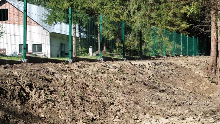 IMG_5211 (Niestandardowy).JPG