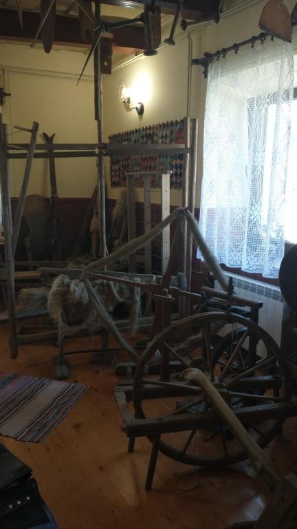 IMG_20231003_123032946 (Niestandardowy).jpg