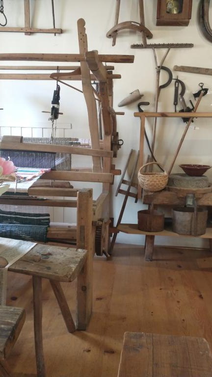 IMG_20231004_113710997 (Niestandardowy).jpg