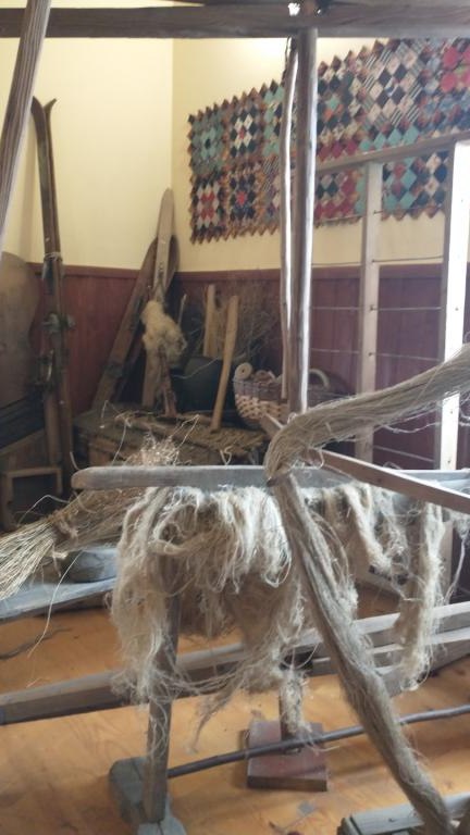 IMG_20231004_113723101 (Niestandardowy).jpg