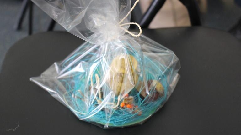 IMG_5933 (Niestandardowy).JPG