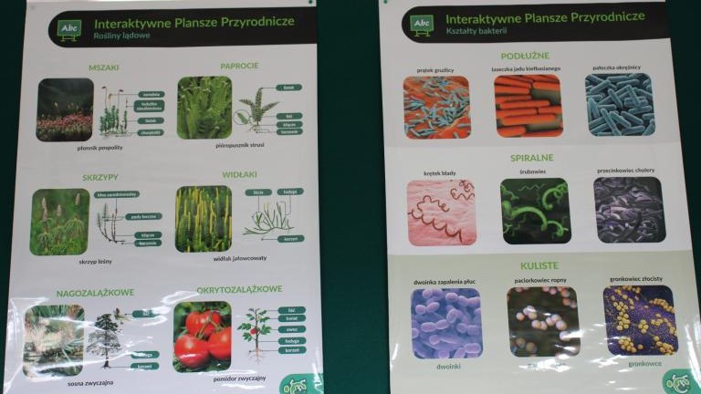 IMG_5993 (Niestandardowy).JPG