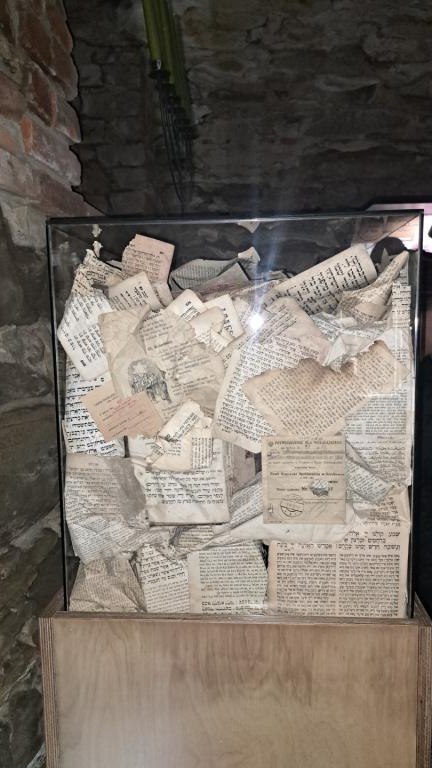 20231017_132421 (Niestandardowy).jpg