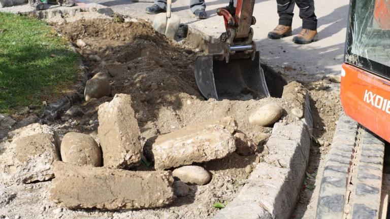 IMG_6110 (Niestandardowy).JPG