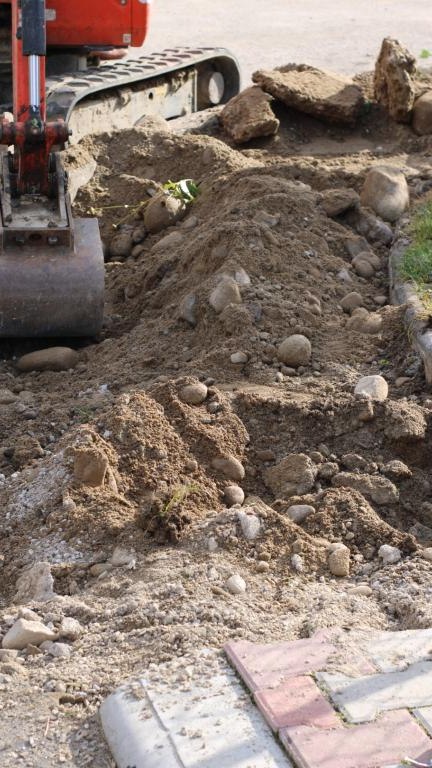 IMG_6114 (Niestandardowy).JPG