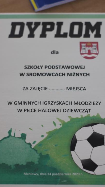 1 (Niestandardowy).JPG