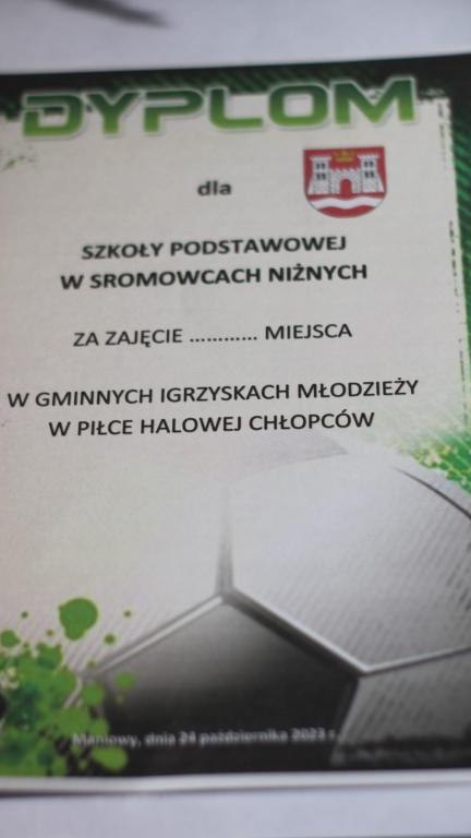 2 (Niestandardowy).JPG