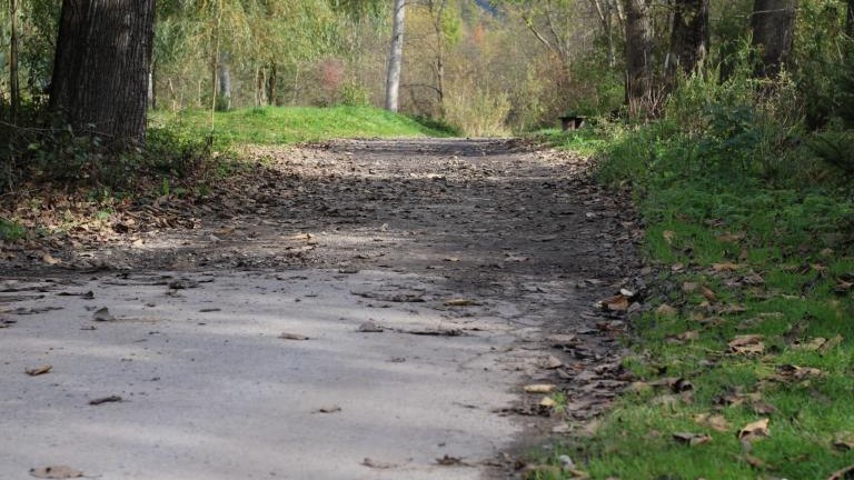 IMG_6127 (Niestandardowy).JPG