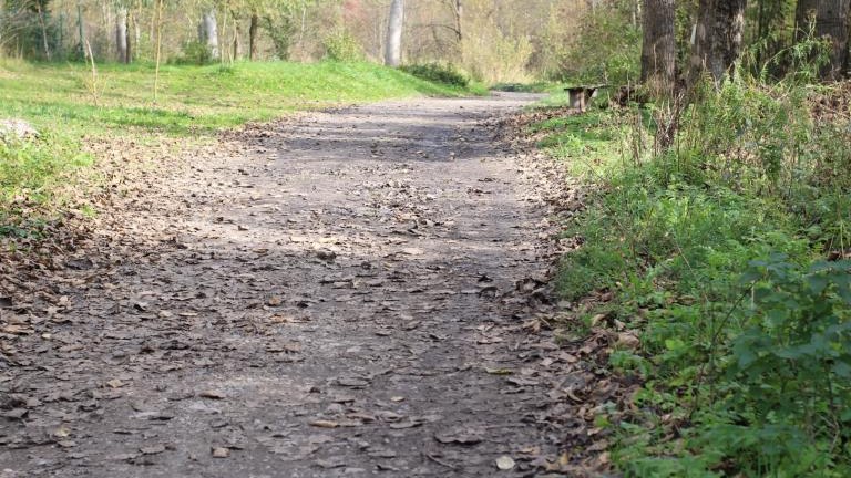 IMG_6129 (Niestandardowy).JPG