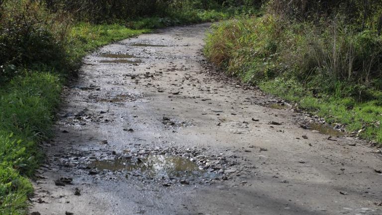 IMG_6141 (Niestandardowy).JPG