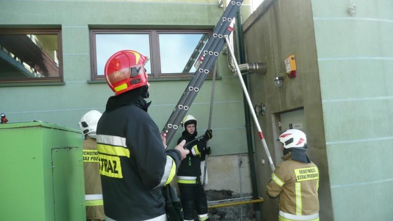 P1120893 (Niestandardowy).JPG