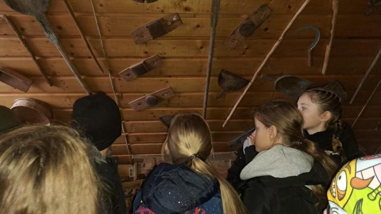 wyc 12 (Niestandardowy).jpg