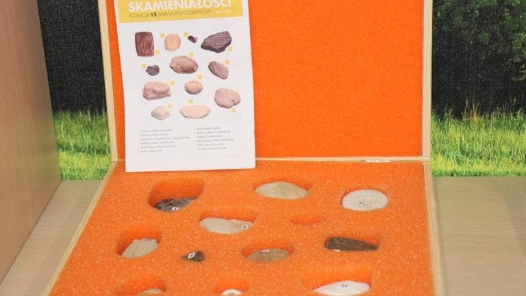 IMG_7010 (Niestandardowy).JPG