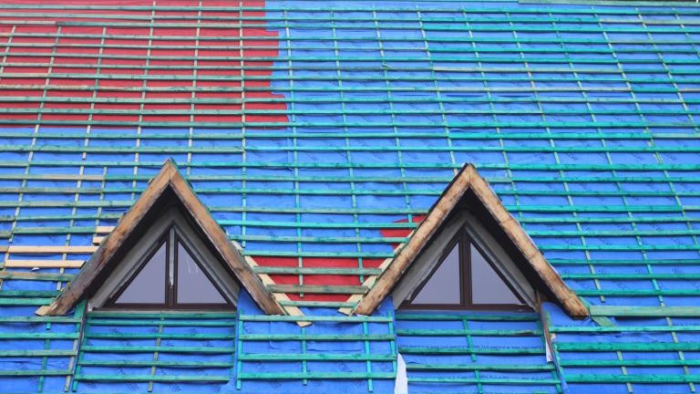 IMG_6454 (Niestandardowy).JPG