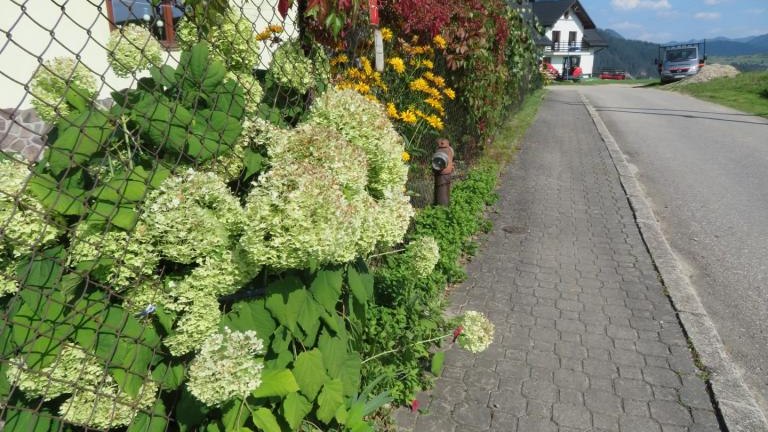 Bandyk Katarzyna-l (2) (Niestandardowy).JPG