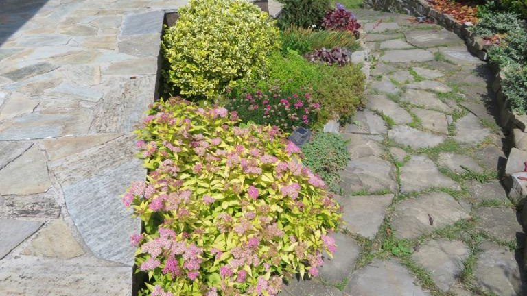 Bandyk Katarzyna-w (5) (Niestandardowy).JPG