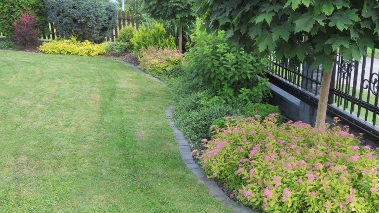 Chmielak Halina-w (9) (Niestandardowy).JPG