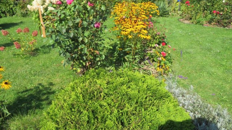 Cichoń Rozalia-l (7) (Niestandardowy).JPG