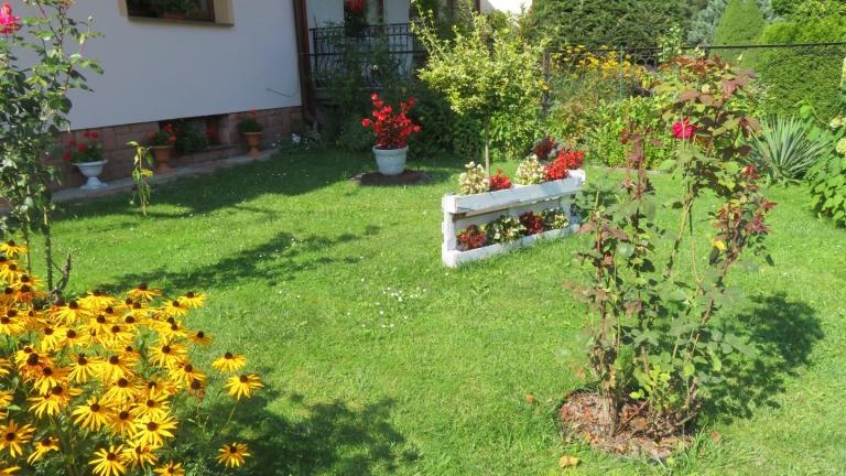 Cichoń Rozalia-l (8) (Niestandardowy).JPG