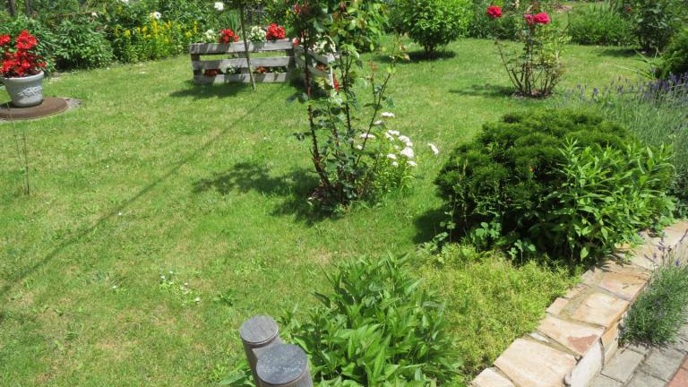 Cichoń Rozalia-w (10) (Niestandardowy).JPG