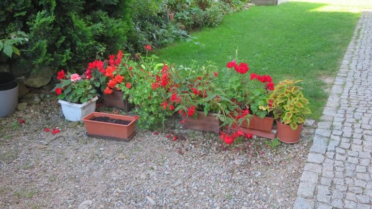 Gorlicka Weronika-l (7) (Niestandardowy).JPG