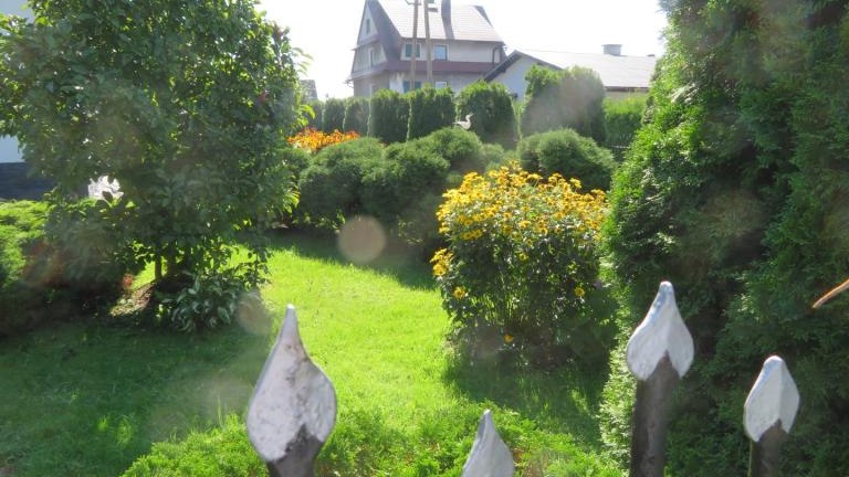 Janczy Jadwiga-l (10) (Niestandardowy).JPG