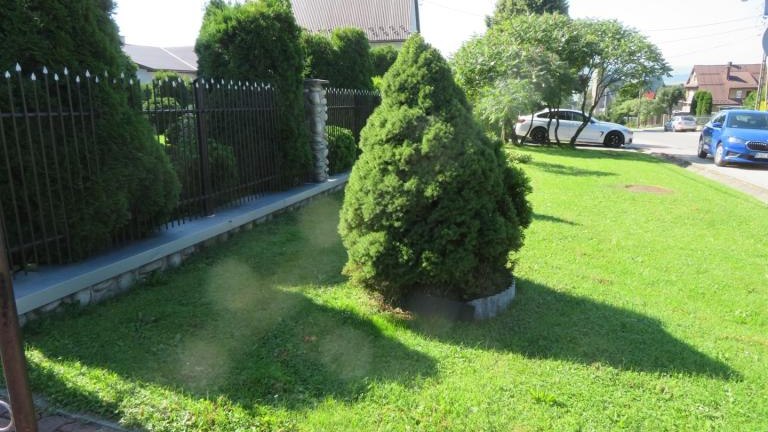 Janczy Jadwiga-l (2) (Niestandardowy).JPG