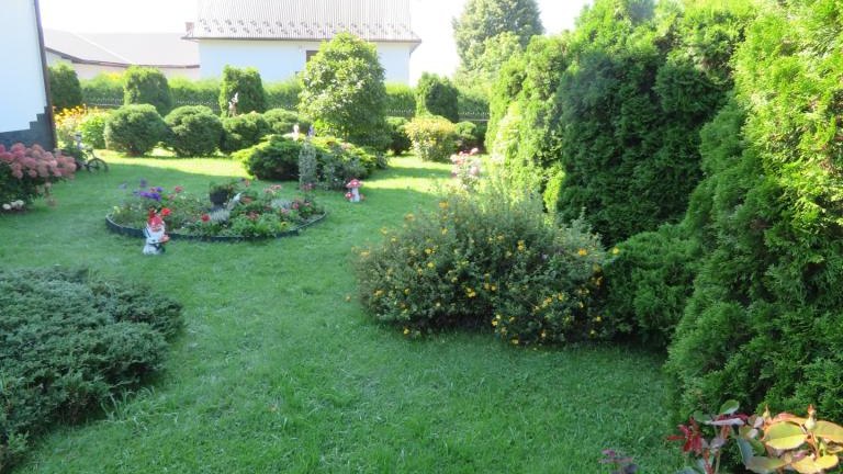 Janczy Jadwiga-l (4) (Niestandardowy).JPG