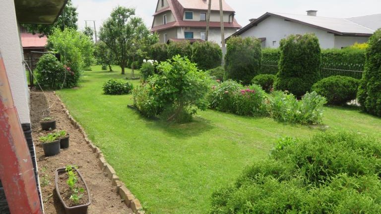 Janczy Jadwiga-w (10) (Niestandardowy).JPG