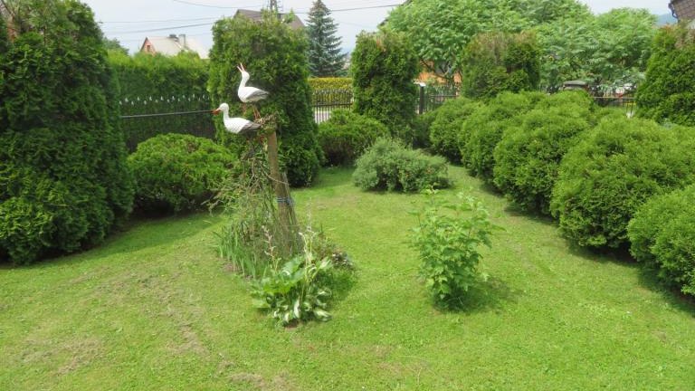 Janczy Jadwiga-w (11) (Niestandardowy).JPG