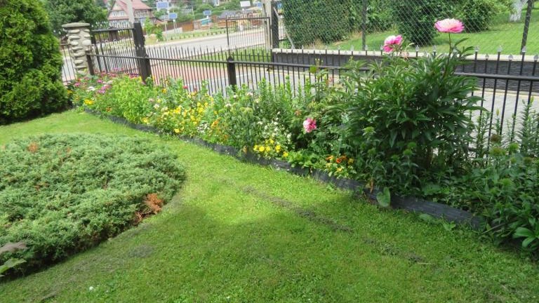 Janczy Jadwiga-w (15) (Niestandardowy).JPG