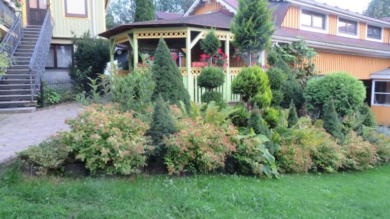 Jandura Anna-l (3) (Niestandardowy).JPG