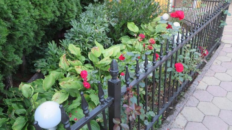 Jandura Anna-l (4) (Niestandardowy).JPG