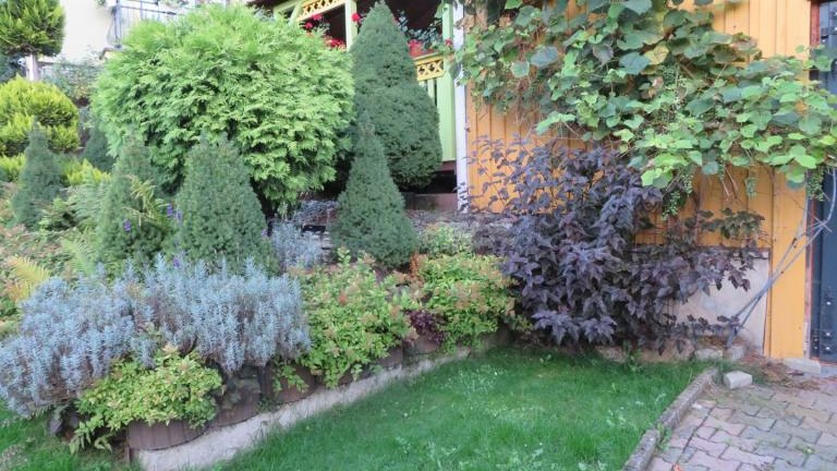 Jandura Anna-l (5) (Niestandardowy).JPG