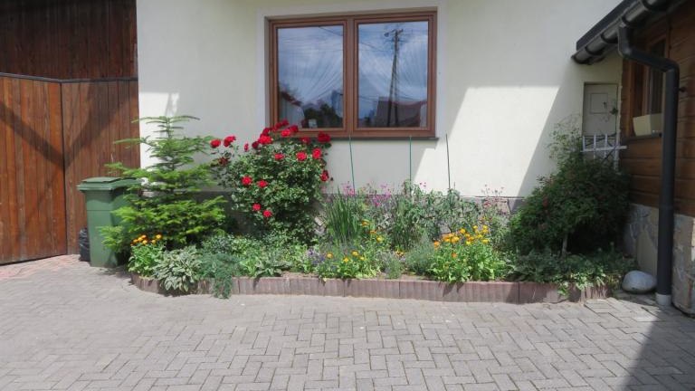 Kamyk Ewa-w (13) (Niestandardowy).JPG