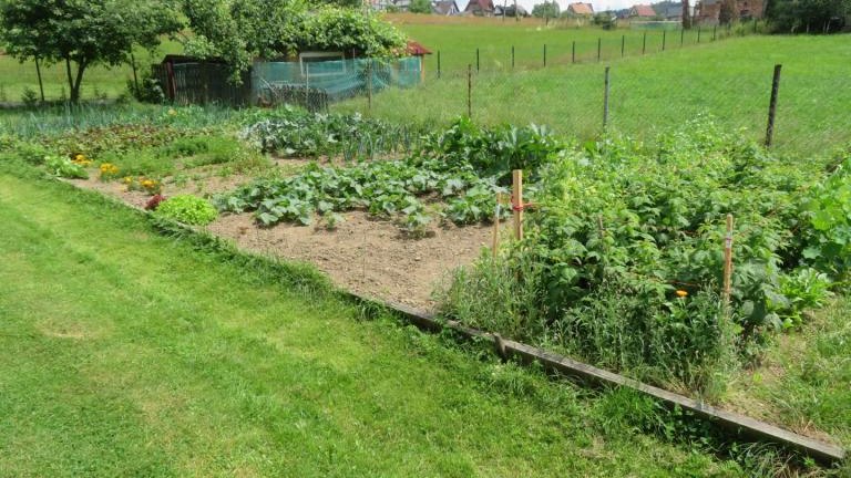 Kamyk Ewa-w (8) (Niestandardowy).JPG