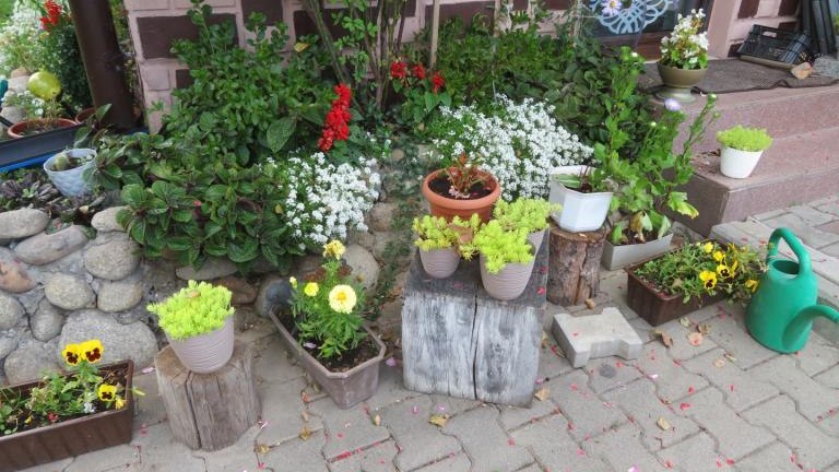 Kierpiec Lucyna-l (16) (Niestandardowy).JPG