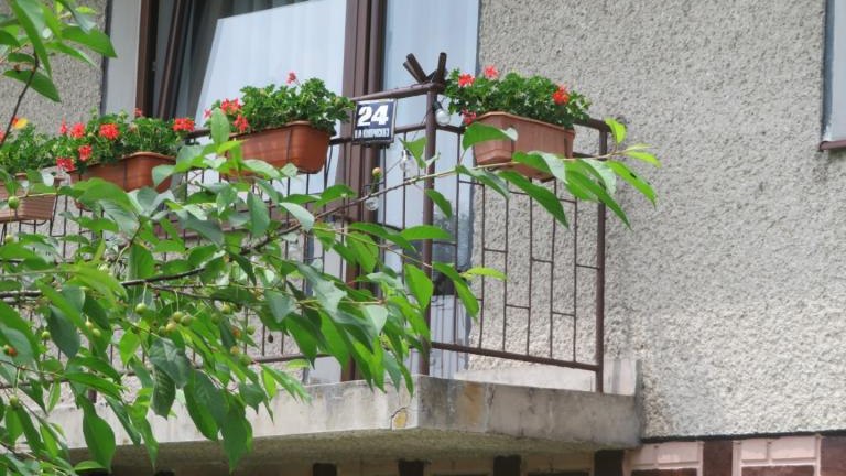 Kierpiec Lucyna-w (2) (Niestandardowy).JPG