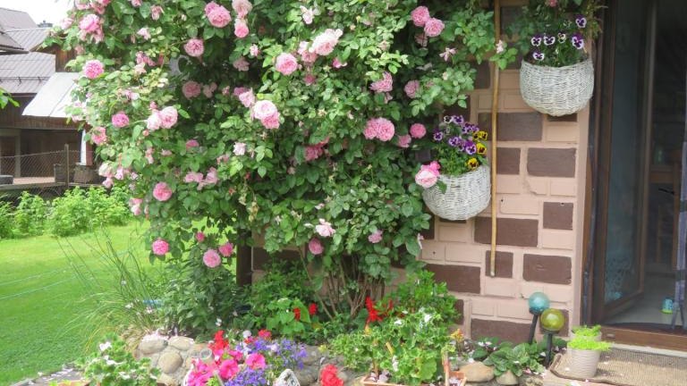 Kierpiec Lucyna-w (6) (Niestandardowy).JPG