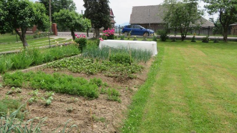 Kierpiec Lucyna-w (7) (Niestandardowy).JPG