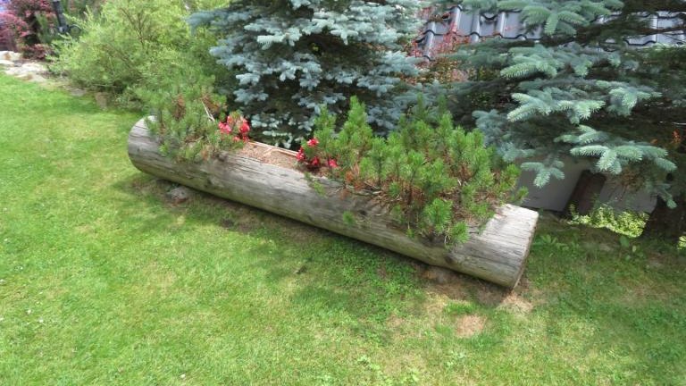 Krzystoń Anna-w (20) (Niestandardowy).JPG