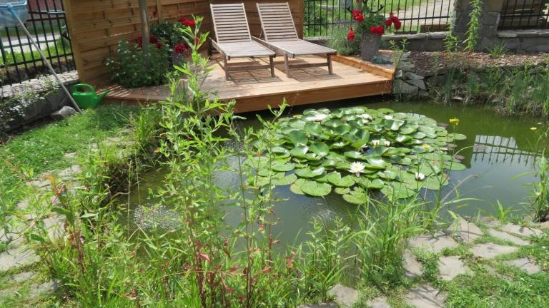 Krzystoń Anna-w (5) (Niestandardowy).JPG