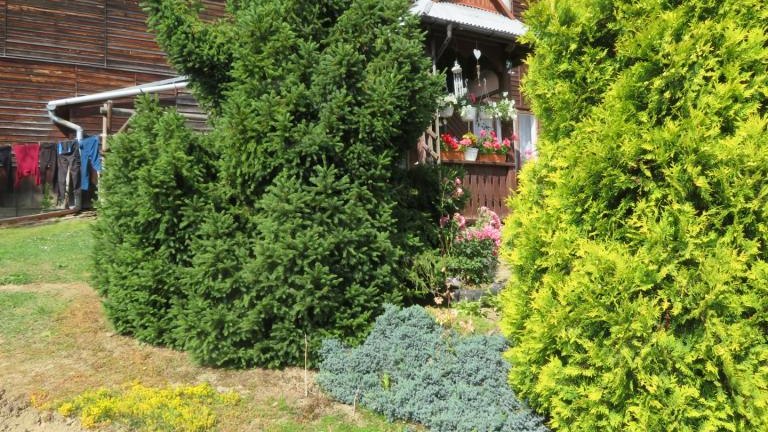 Pawlikowska Stefania-w (6) (Niestandardowy).JPG