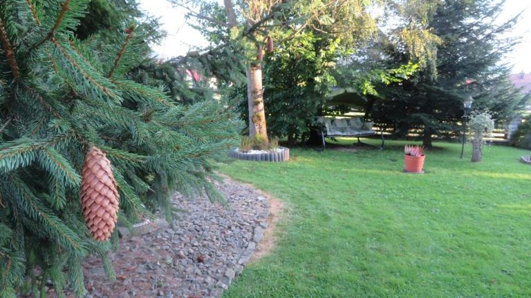 Pichniaczyk Barbara-l (5) (Niestandardowy).JPG