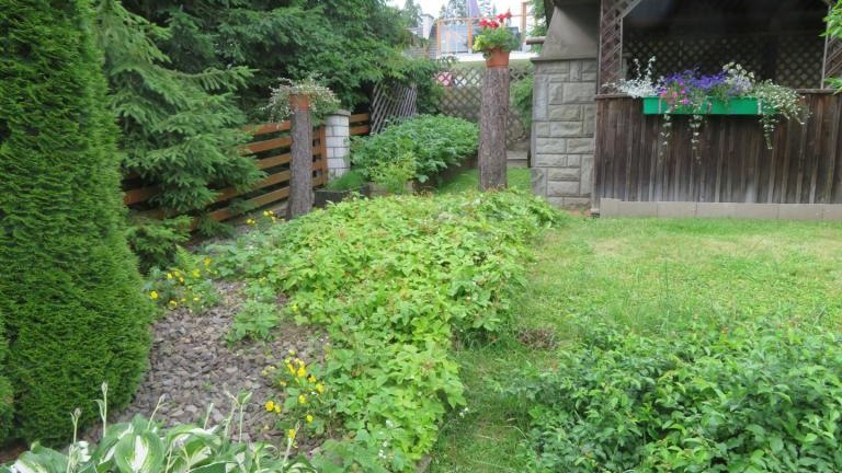 Pichniaczyk Barbara-w (21) (Niestandardowy).JPG