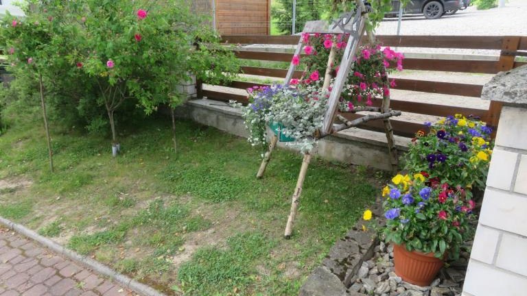 Pichniaczyk Barbara-w (4) (Niestandardowy).JPG