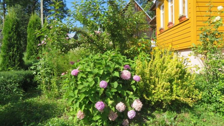 Plewa Władysława-l (10) (Niestandardowy).JPG