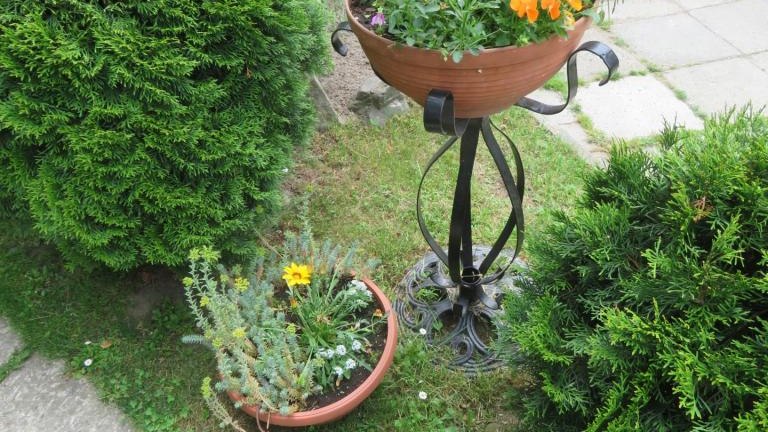 Plewa Władysława-w (11) (Niestandardowy).JPG