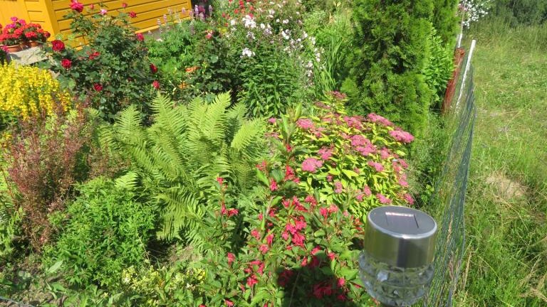 Plewa Władyslawa-w (3) (Niestandardowy).JPG