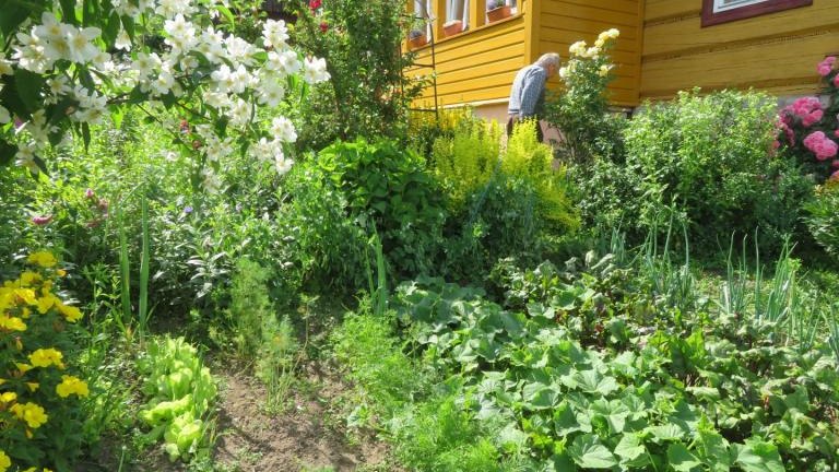 Plewa Władyslawa-w (5) (Niestandardowy).JPG